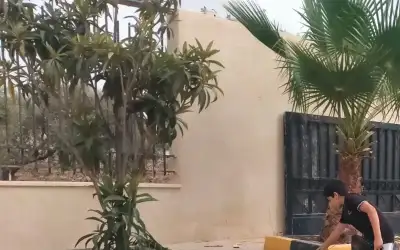 لجنة تقييم الوضع الوبائي تصدر توصياتها-