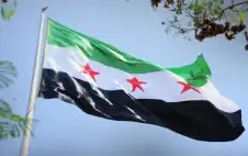 سوريا ترفض إقحام الملف الدرstrongزيstrong في