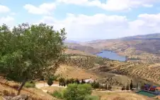 طقس لطيف الجمعة وزخات مطرية شstrongمالstrong
