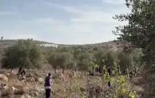 4 إصابات جراء هجمات للمستوطنين على