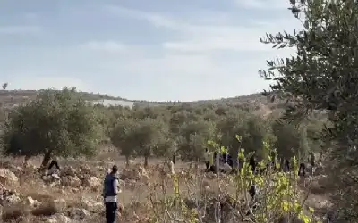 السبت .. انخفاض على درجات الحرارة