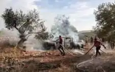 4 شهداء و34 اعتداء للمستوطنين على