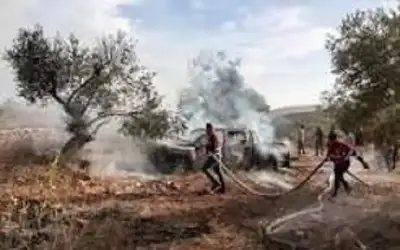 حول التعديل الوزاري.. اطعمهم من جوع
