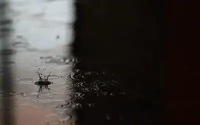 ( داعش ) تعلن مسؤوليتها عن