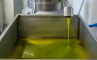 أربعة قتلى وعشرات الجرحى في اصطدام