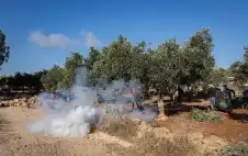 منع وسرقة وتخريب.. المستوطنون يحاصرون قاطفي