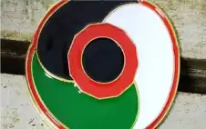 طبيب أطفال بريطاني وراء زهرة خشخاش