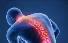 صحة ـ ما وراء ألم الظهر المزمن.. دماغ