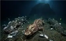 ألقوا 3 تماسيح في قاع اstrongلبstrongحر..