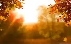 طقس معتدل اليوم وحالة من عدم