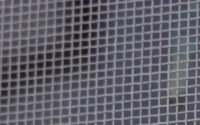 مصدر: العفو العام لن يشمل الغرامات