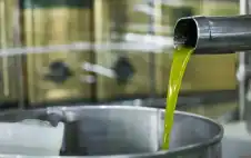 نقابة المعاصر: strongزيstrongت الزيتون الأردني يتمتع