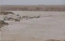 الأرصاد تحذر من السيول في اstrongلبstrongحر