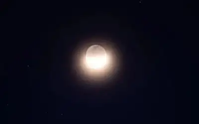 محطات في زيارة ريم السالم إلى