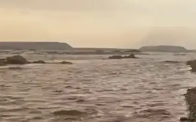 العبابنة رئيسا لجامعة آل البيت بالوكالة
