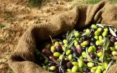 تمارين تحسن الذاكرة