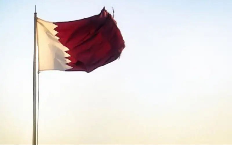 صحيفة نيسان ـ قطر: لن نكون كبش فداء للإخفاقات