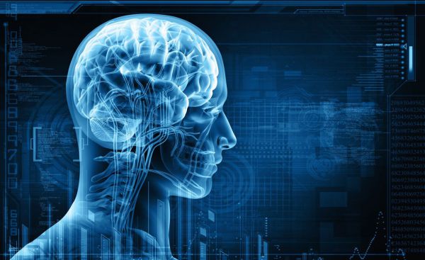 اكتشاف خلايا عصبية تنشط وتعيد الشباب