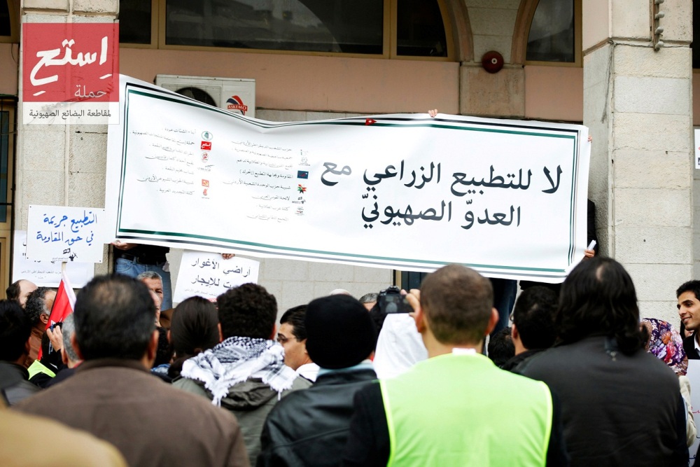 مزارعون يتعاقدون مع سماسرة لتصدير الزيتون