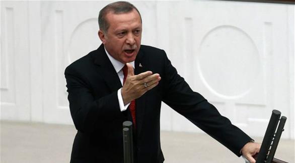 ألمانيا تشكك في استعداد أردوغان للتعاون