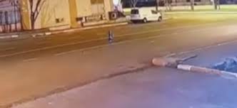 بالفيديو: ما حقيقة هذا المخلوق الغريب