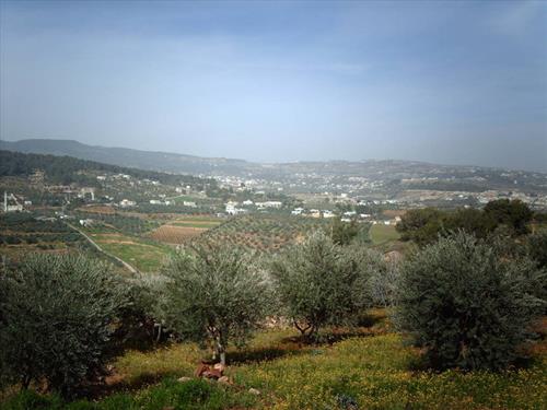 وزارة الزراعة تزيل اعتداء على ارض