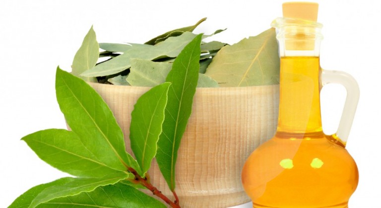 لهذين السببين.. ينصح بحرق أوراق الغار