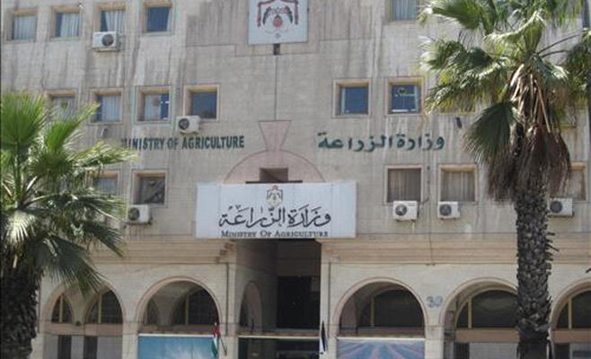 تصدير 73 ألف طن خضار وفواكه