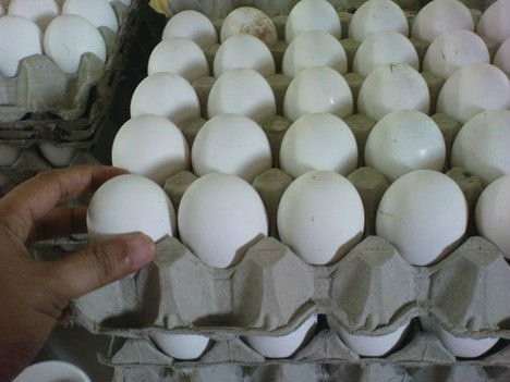 أسعار بيض المائدة تنخفض 21 %