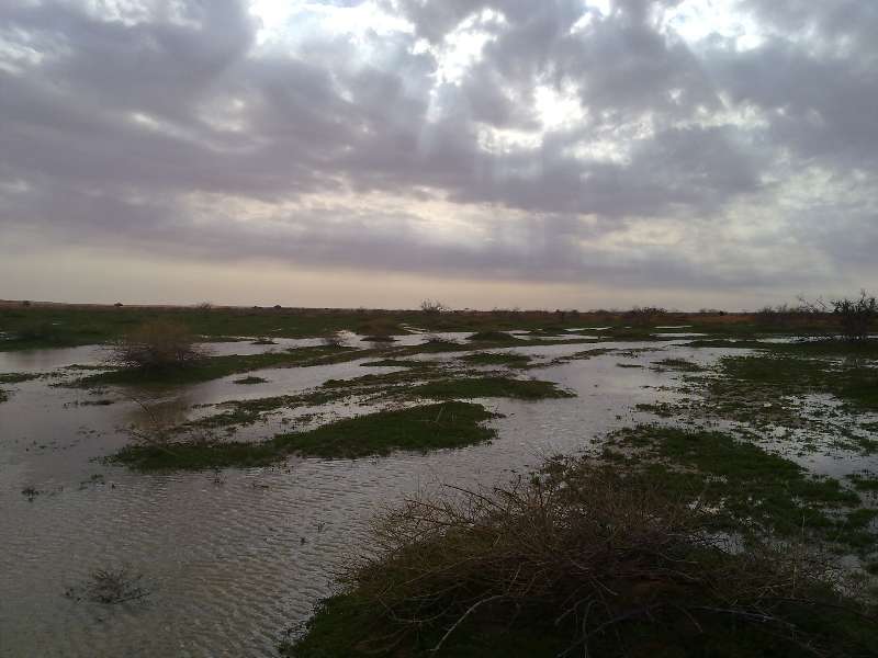أجواء باردة و زخات متفرقة