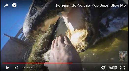 بالفيديو: أمريكي يدخل يده في فم