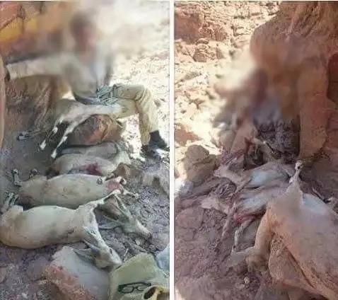 (حماية الطبيعة) تنفي تعيين صياد جائر