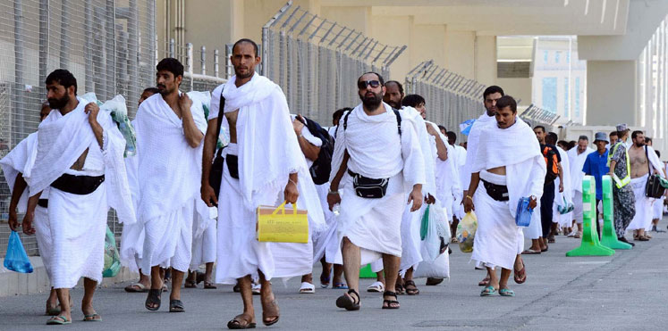 فيديو.. ثعابين داخل حقيبة أحد الحجاج