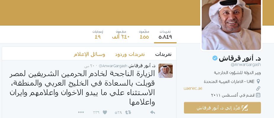 قرقاش: زيارة خادم الحرمين لمصر أسعدت