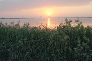 سويسرية تبحث عن سحر الشرق في