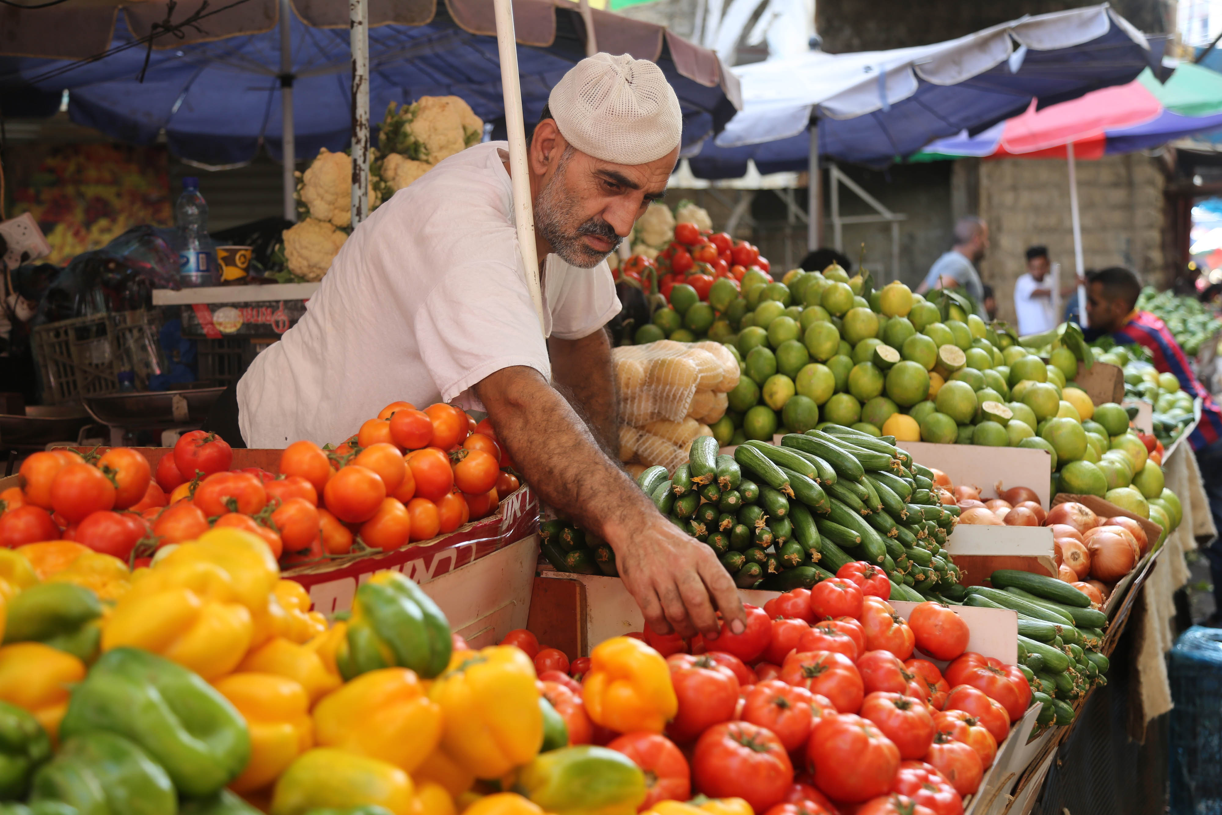 أسعار الخضار والفواكه بالمركزي الثلاثاء