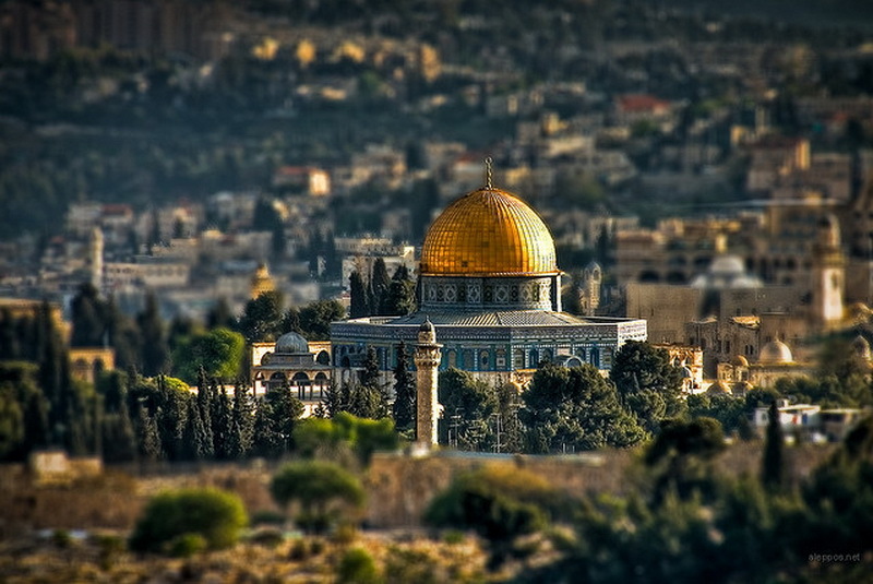 الخارجية الإسرائيلية: ترامب سيبتعد عن القضية