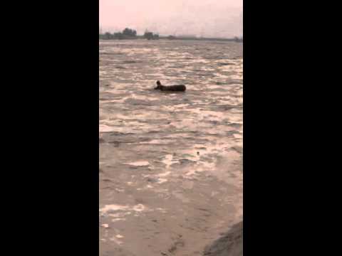 شاهد-متهور يستعرض مهاراته بالـ (غوص) وسط