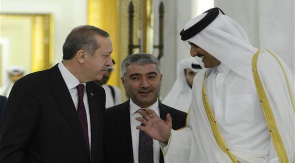 أردوغان: تركيا منفتحة على مشروعات تخزين