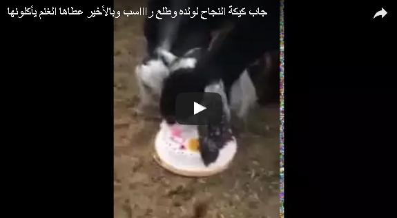 بالفيديو: أب يرمي كعكة تخرج نجله