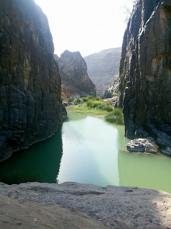 شركة ( جـت ) للنقل السياحي
