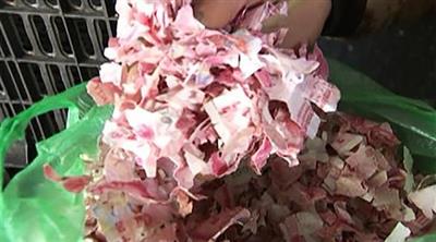 بالفيديو.. صيني يمزق بالخطأ آلاف الأوراق