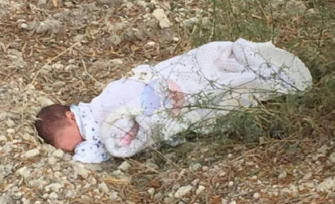 جثة جنين داخل حاوية نفايات في
