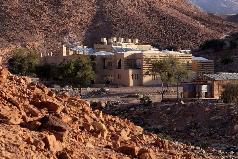 قريقرة.. .. .قصة عشق وتعايش بين