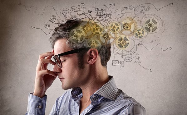 دراسة: دماغ الإنسان لا يتوقف عن