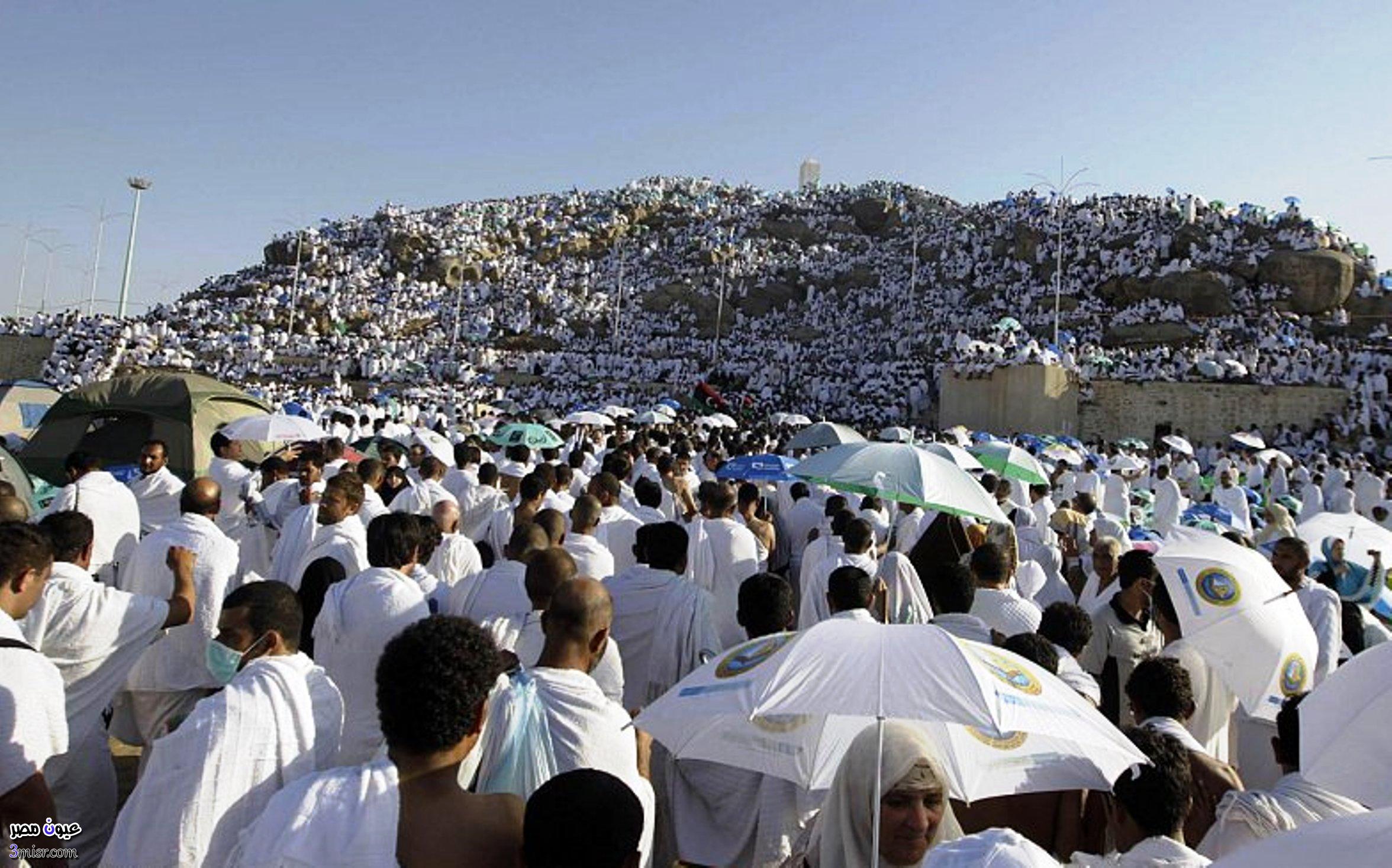 داود يبحث مع وزير الحج السعودي