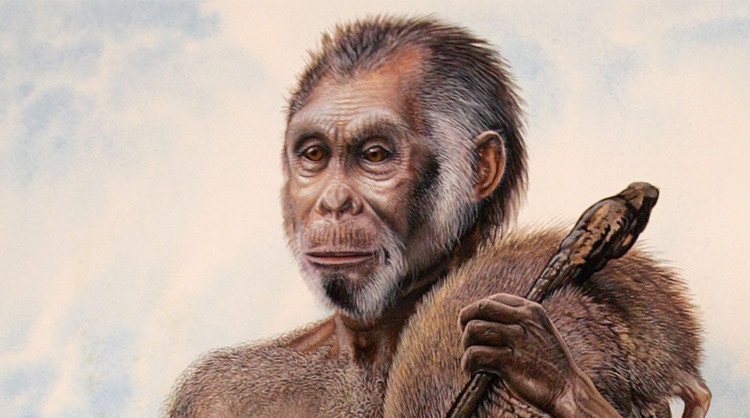 عمر شعب (الهوبيت) الإندونيسي 700 ألف