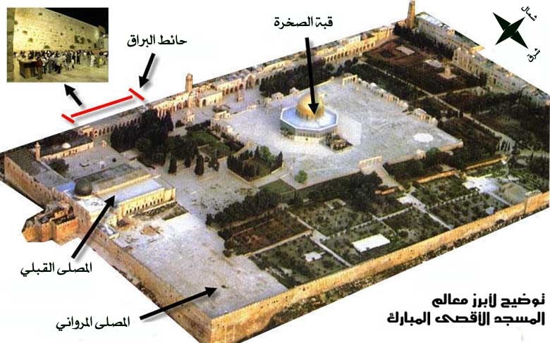 الأوقاف تعين 53 موظفا جديدا في