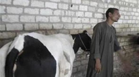 سكان قرية مصرية يعتقدون أن لبن