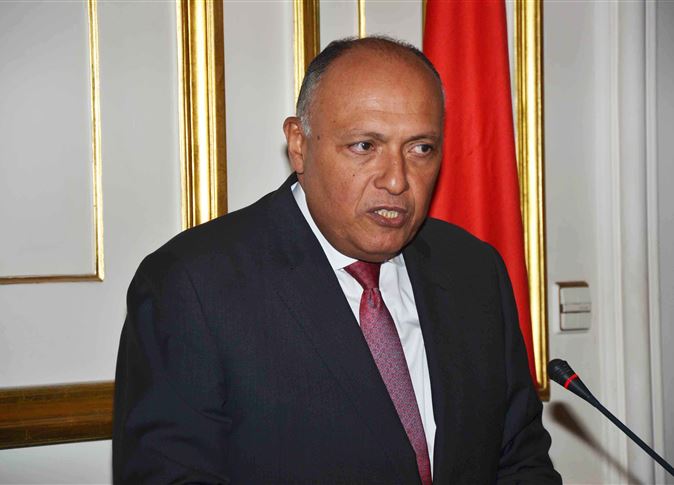 شكري: الأمن القومي المصري يواجه تحديات
